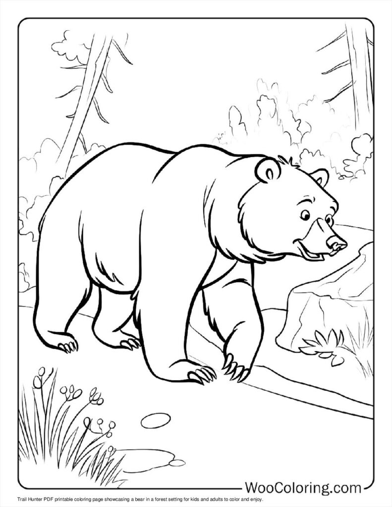 coloring pages of a bear