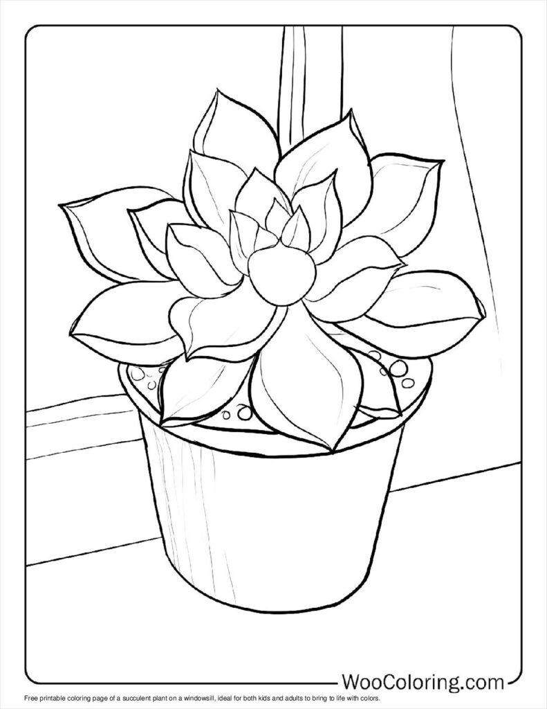 colouring pages of plants