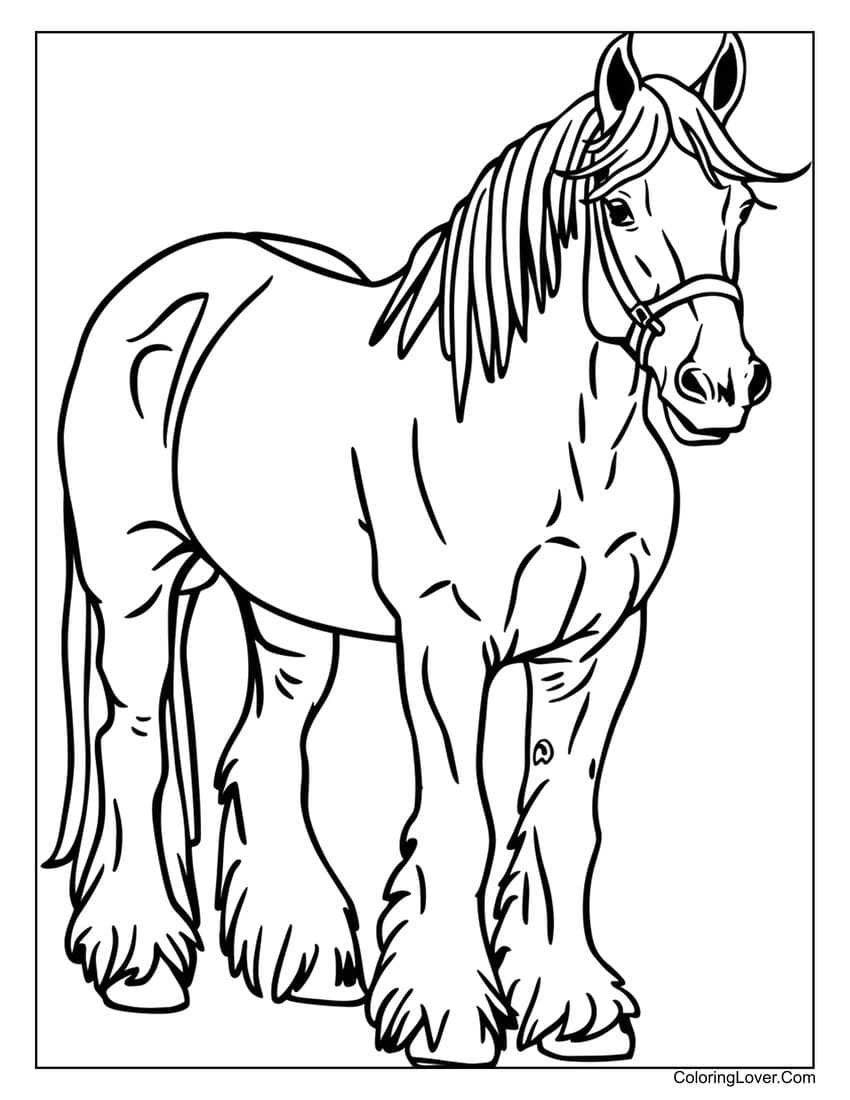 horse coloring pages printable pdf