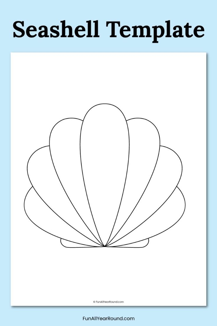 12 Shells Ideas Shells Sea Shells Seashells Template