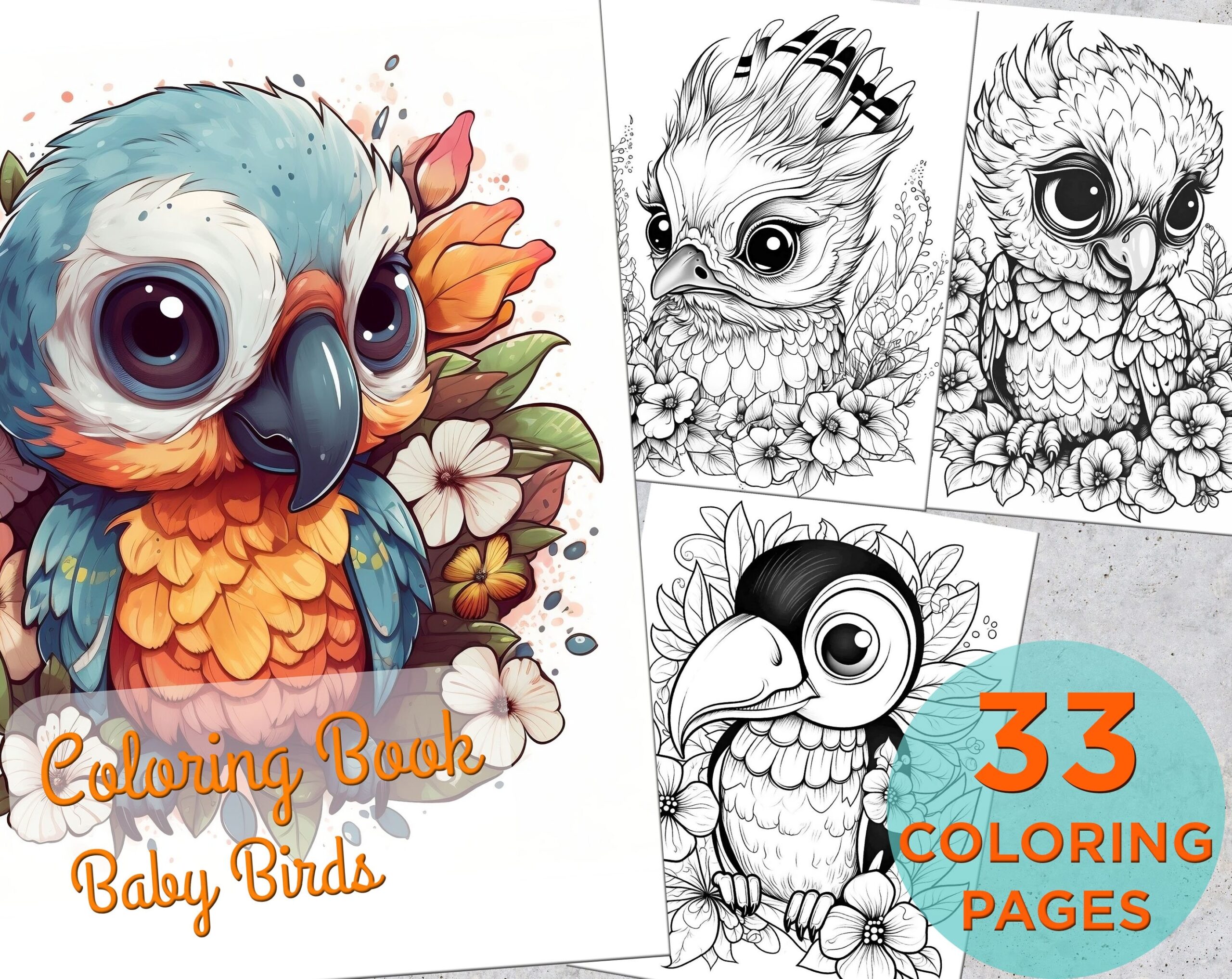 bird coloring book pages