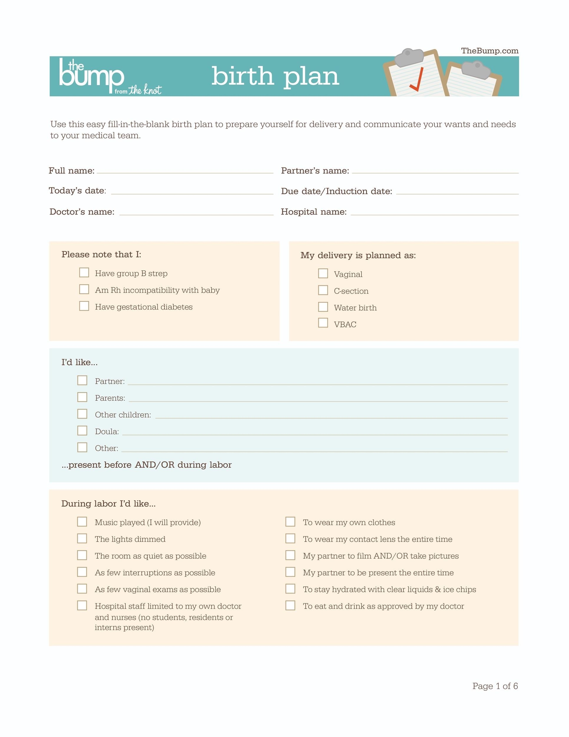 printable birth plan template