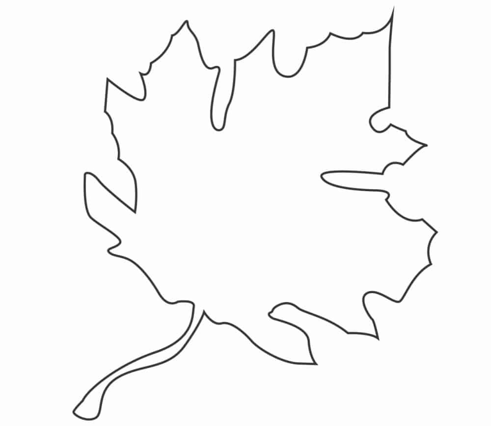 6 Free Fall Leaf Template Printables