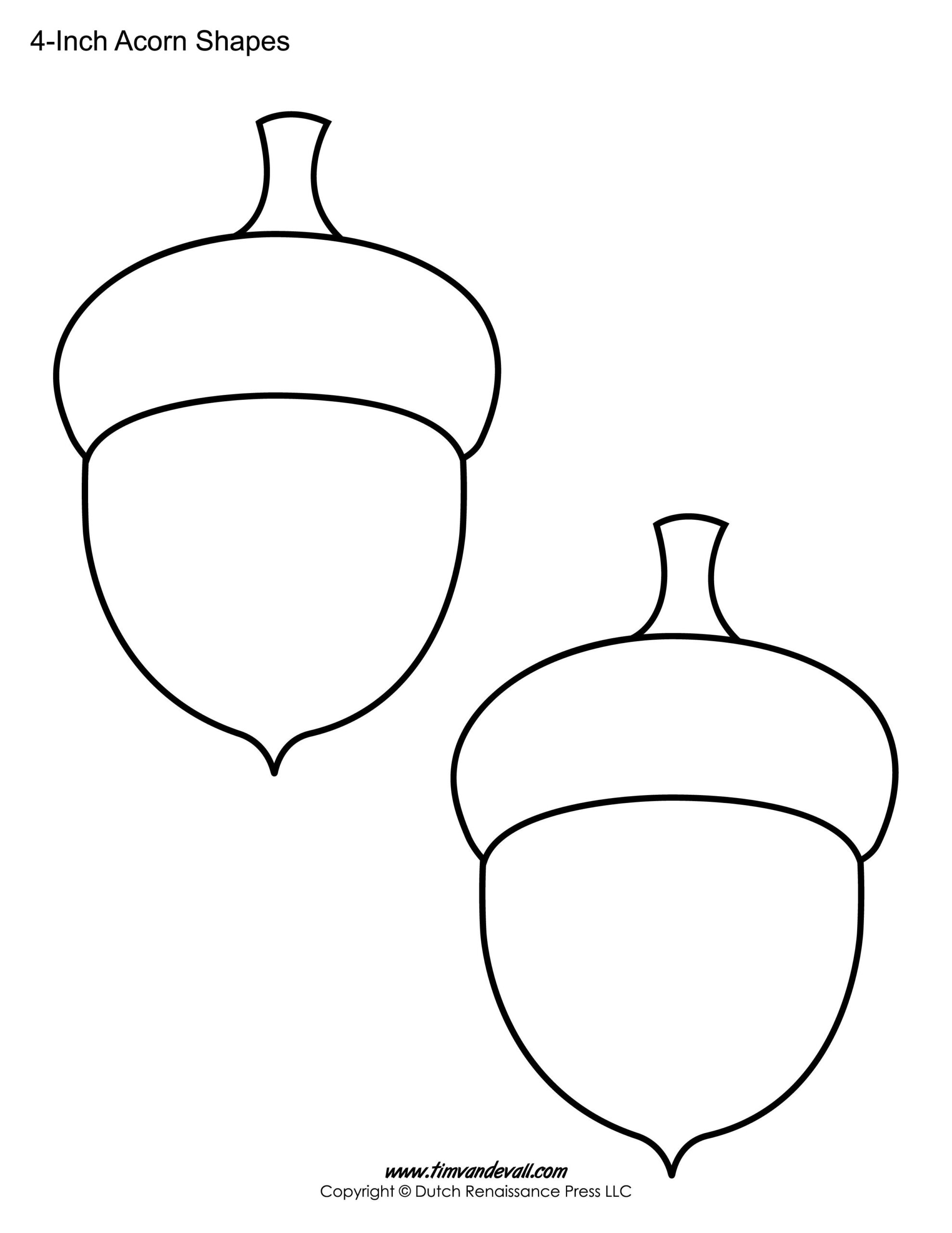free acorn template printable