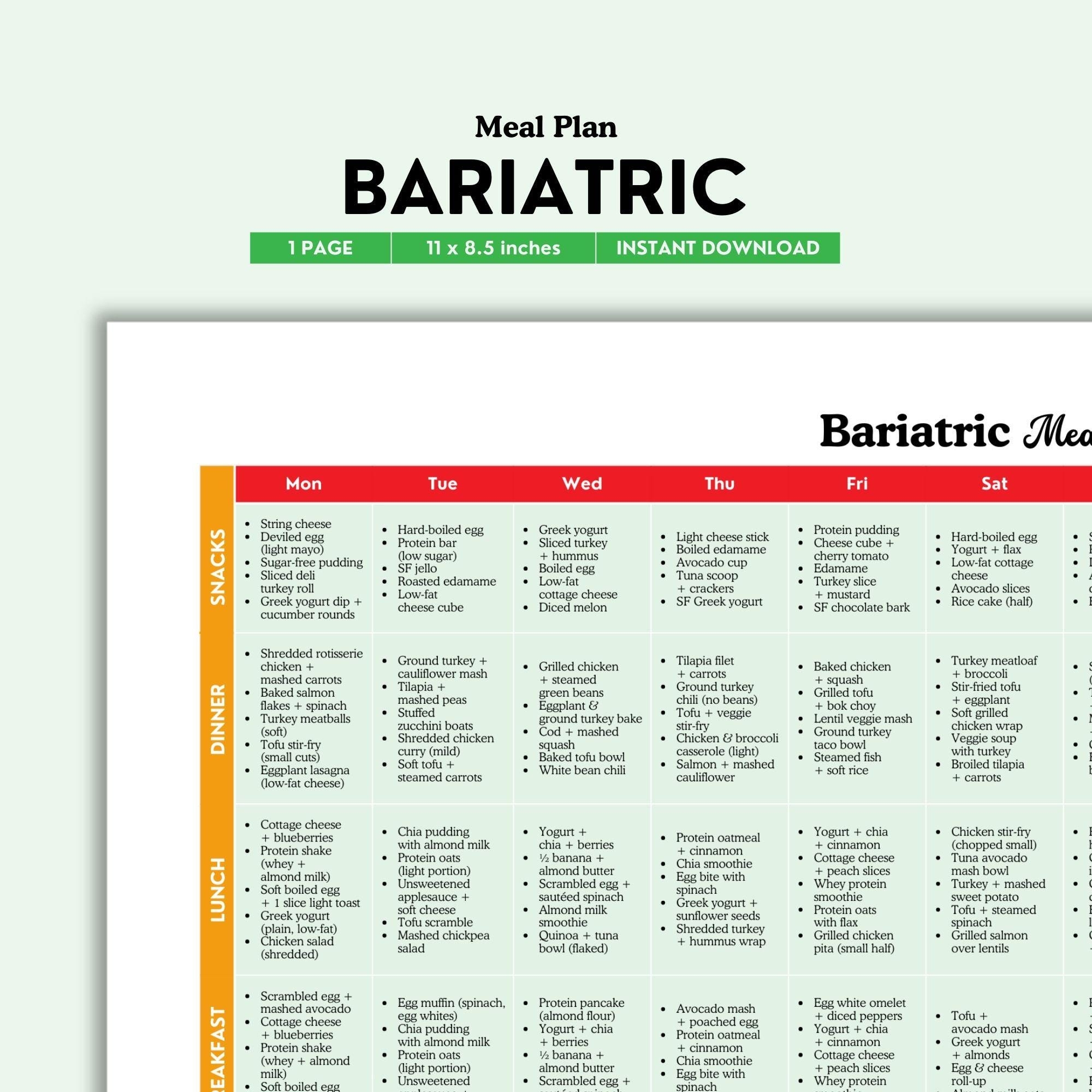 printable bariatric meal plan pdf