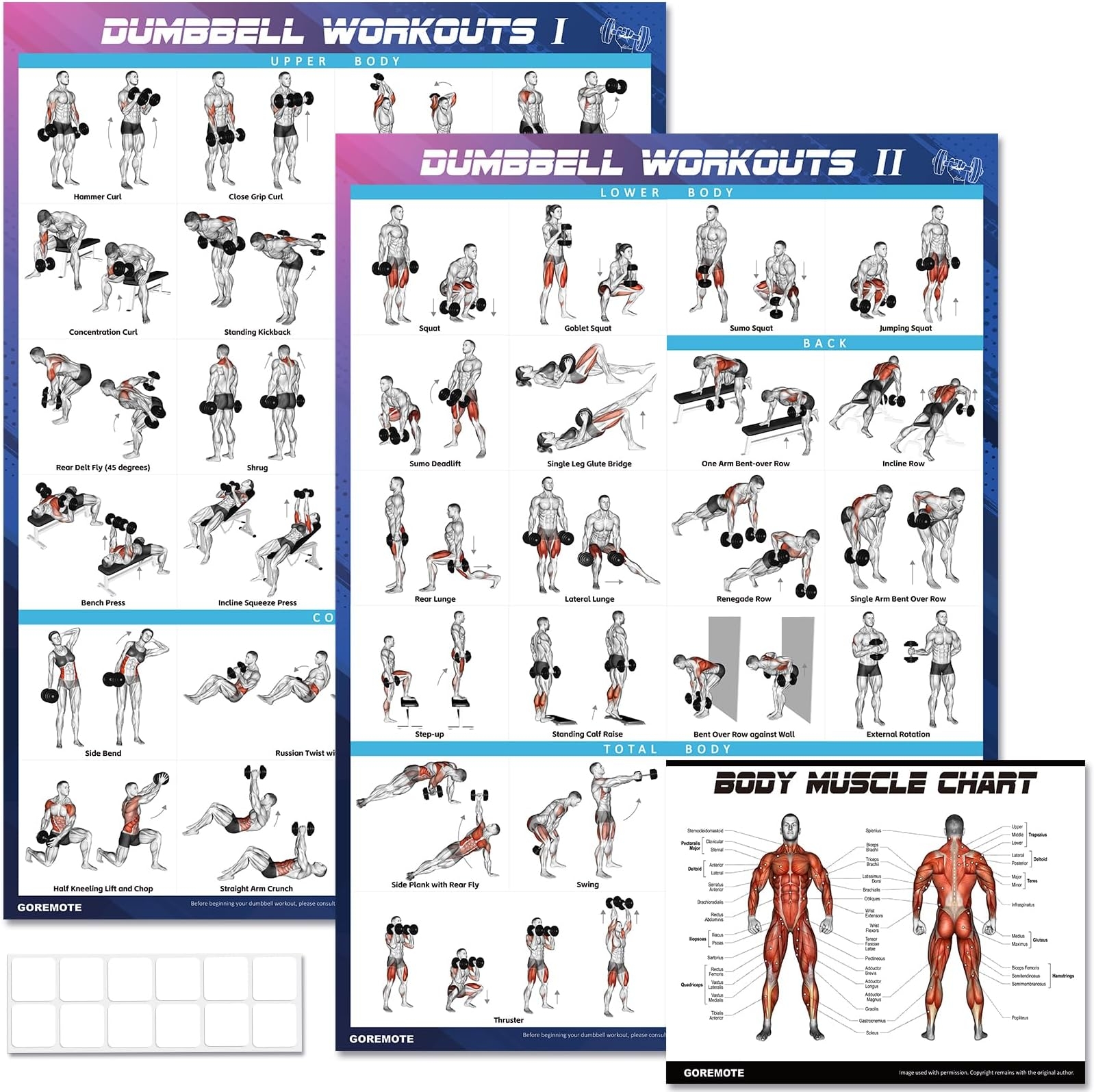 printable bowflex exercises pdf