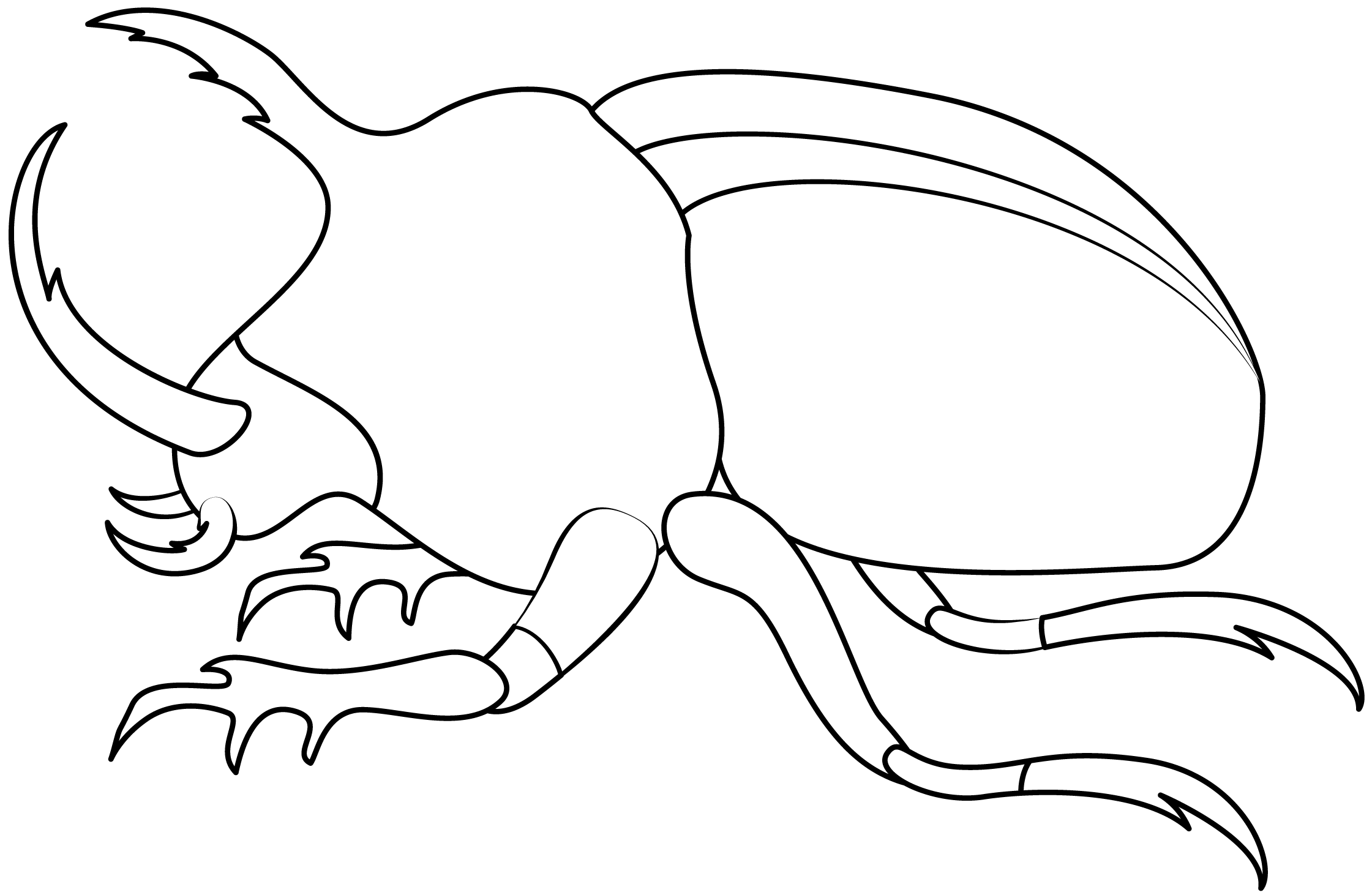 bug template printable