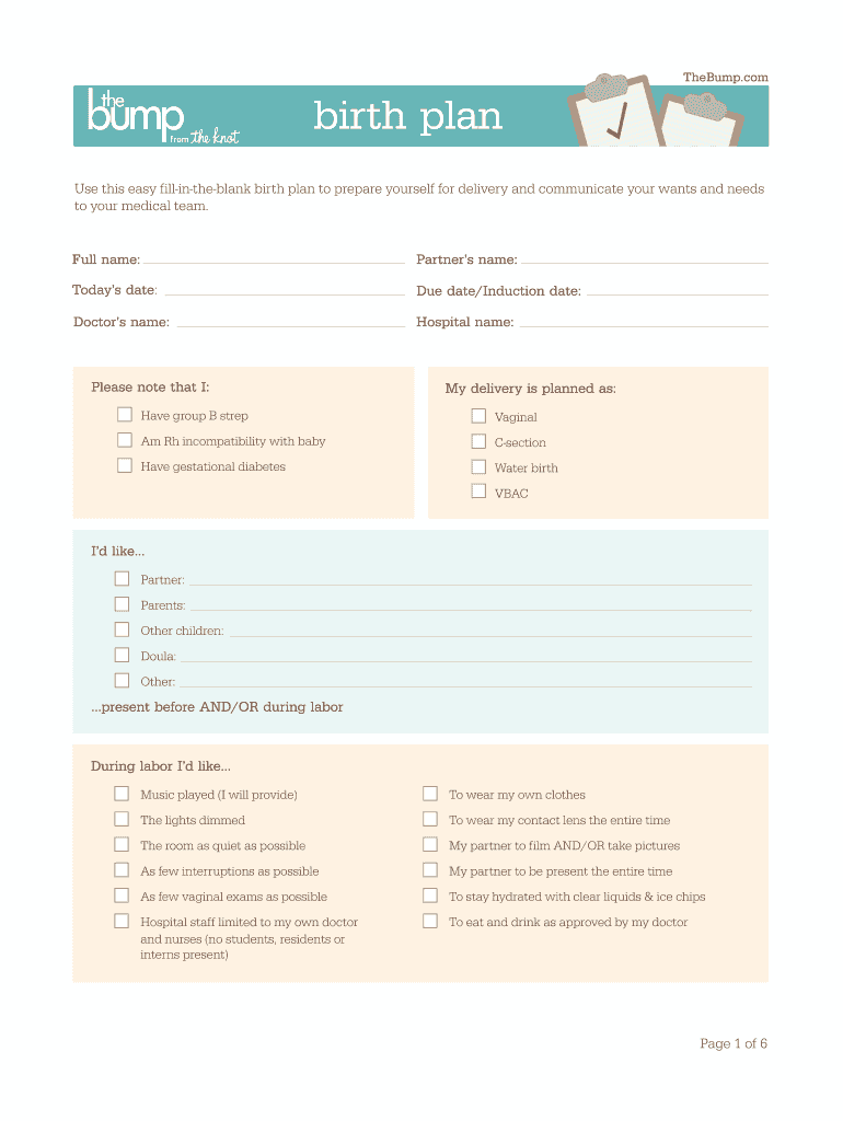 Bump Birth Plan Form Fill Online Printable Fillable Blank PdfFiller