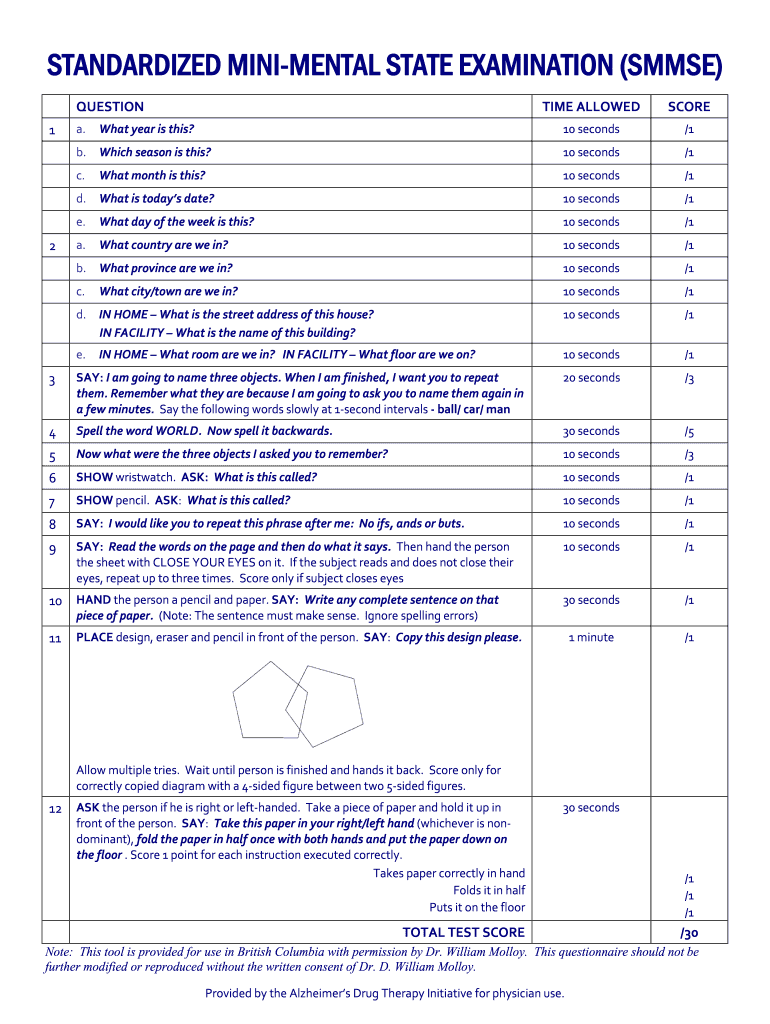 Canada Standardized Mini Mental State Examination SMMSE Form Fill Online Printable Fillable Blank PdfFiller
