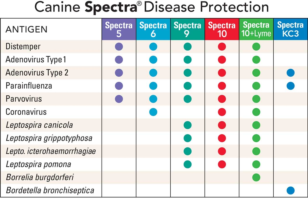 printable dog vaccination schedule pdf