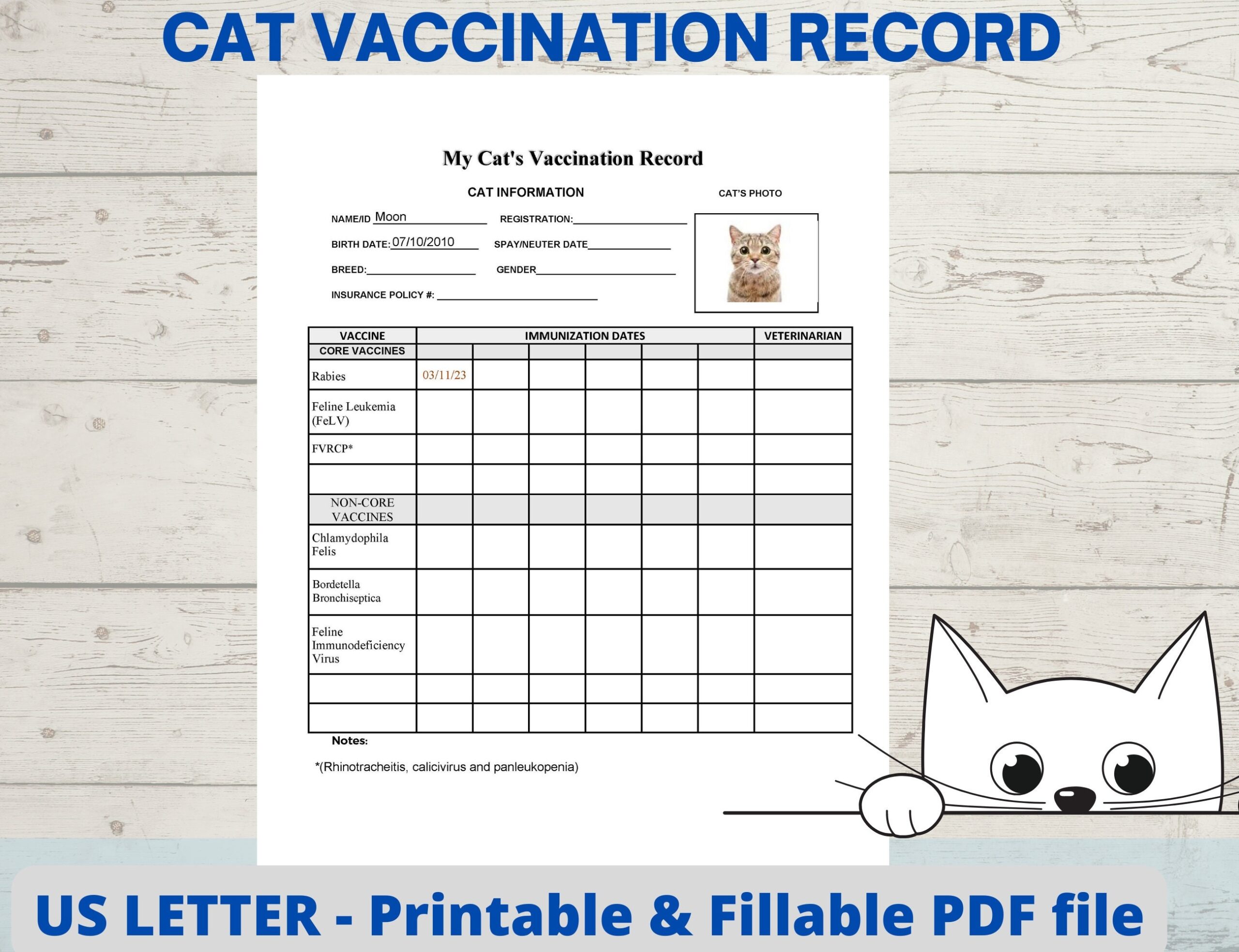 Cat Vaccination Record Cat Health Record Cat Shot Record Pet Health Record Instant Download PDF Fillable Printable Etsy Hong Kong