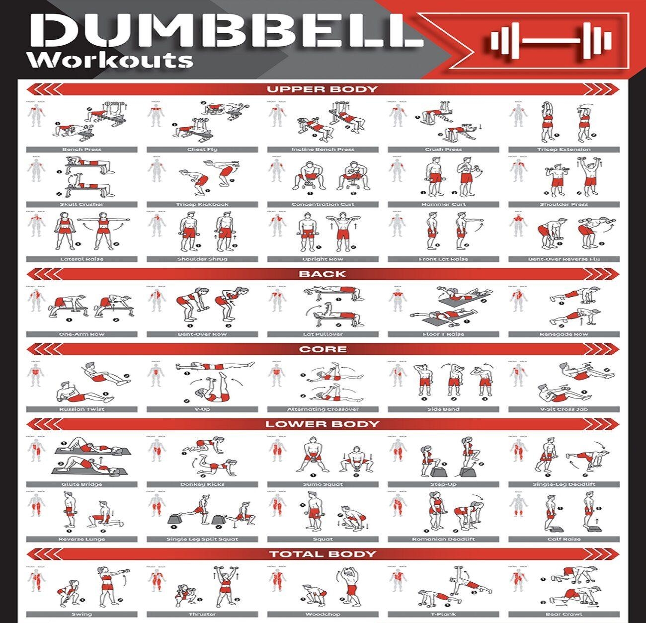 Clearance List Of Dumbbell Workouts Clearance Dumbbell Workout Chart Fitcozi