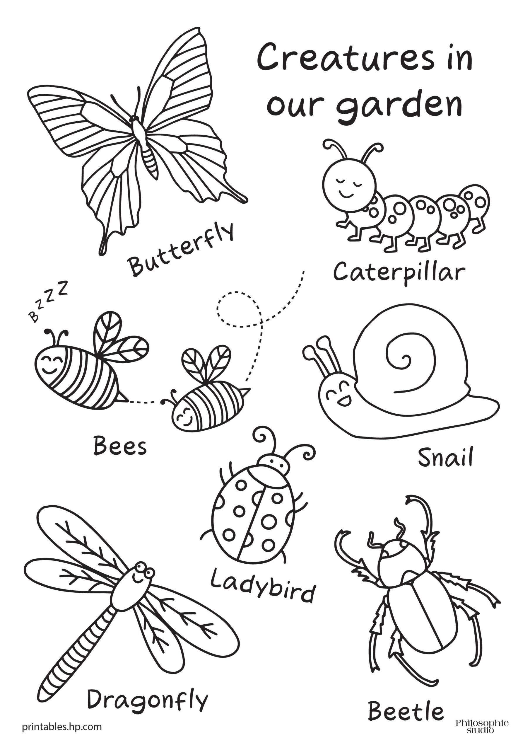 coloring pages of insects