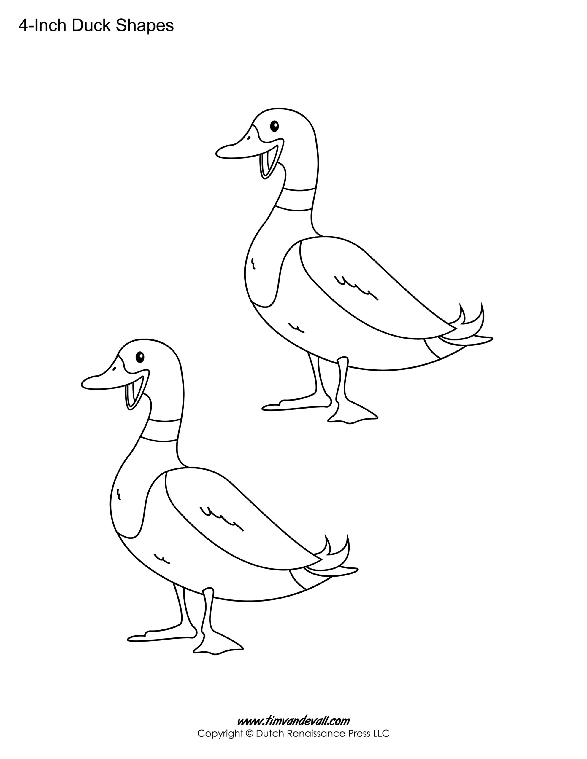 Duck Template Printable Tim s Printables