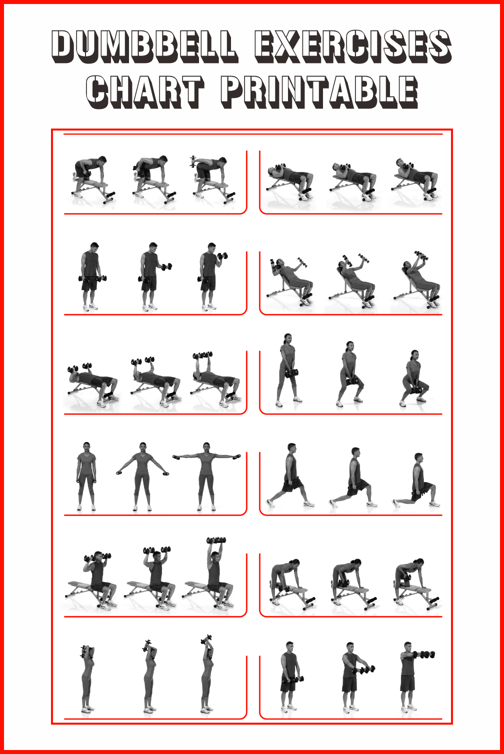 dumbbell workout chart printable pdf
