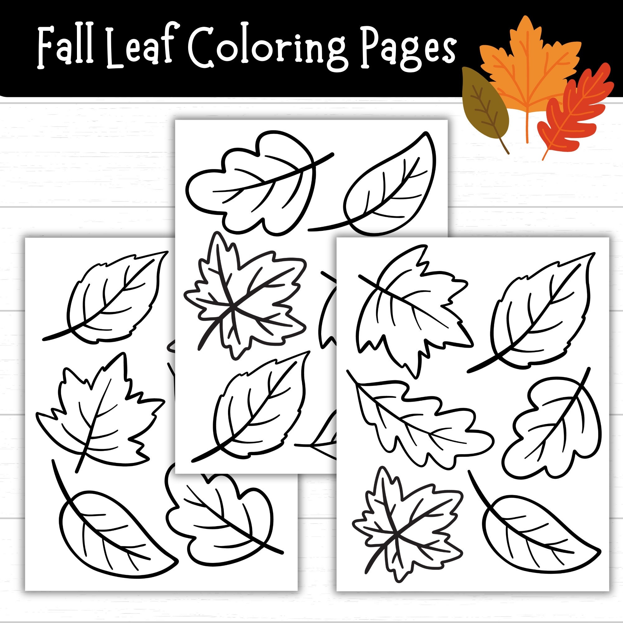 Fall Leaf Coloring Pages Leaf Printables Autumn Leaf Coloring Sheets Fall Activities For Kids Leaf Templates Fall Printables For Kids Etsy