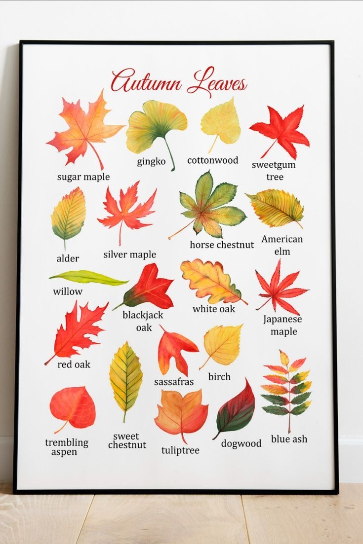 colorful leaves printable