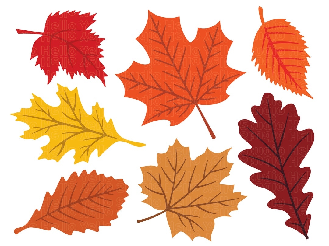 Fall Leaves Svg Fall Svg Fall Leaf Svg Bundle Fall Png Dxf Clipart Cut Files For Cricut Glowforge Files Silhouette Halloween Svg Etsy