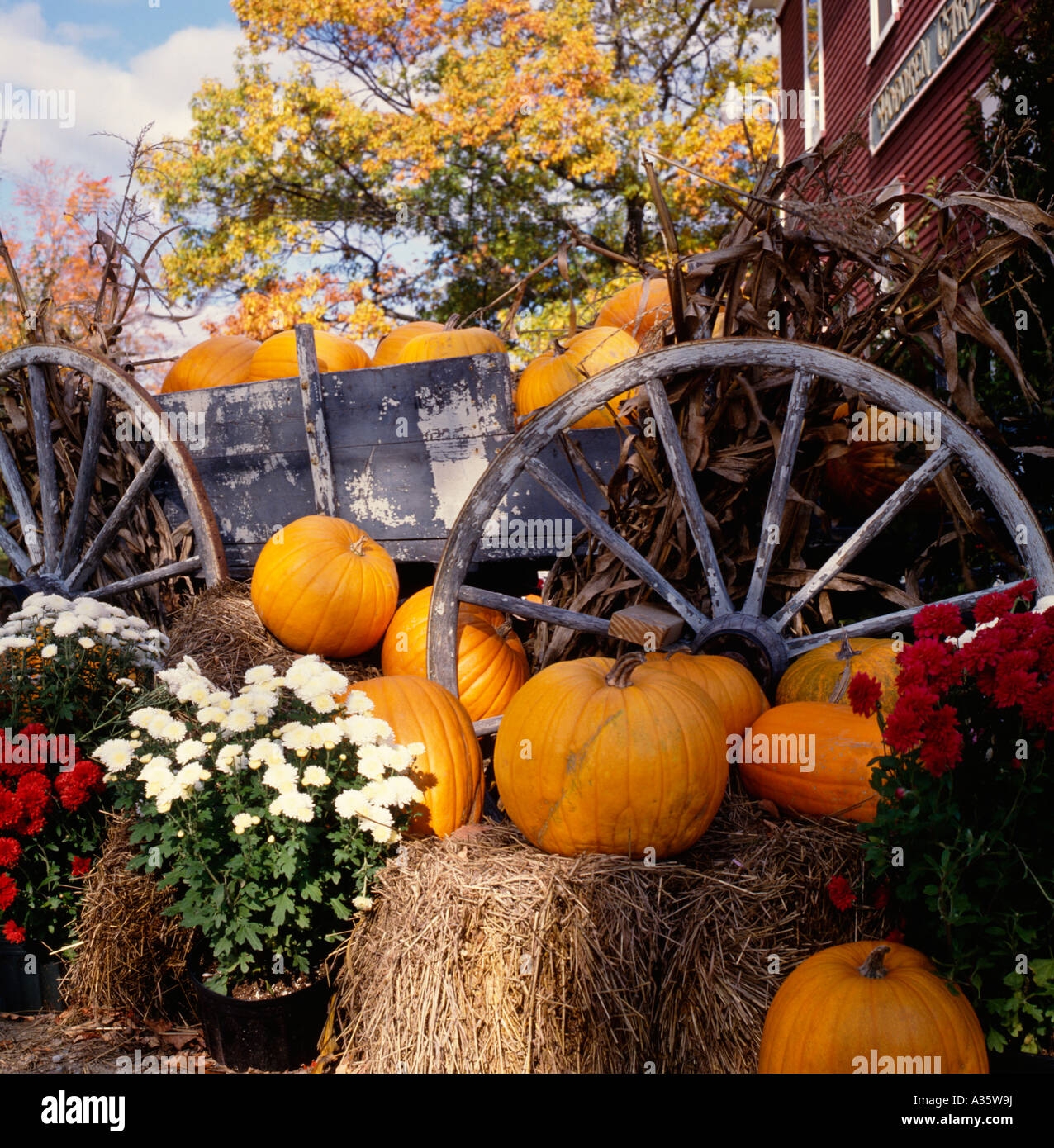 Fall Scene With Pumpkins Stock Photo Alamy