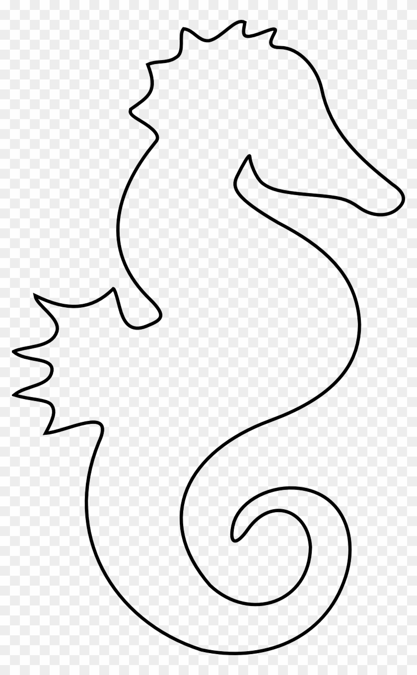 Fish Outlines New Free Image On Pixabay Seahorse Ocean Printable Seahorse Template Free Transparent PNG Clipart Images Download