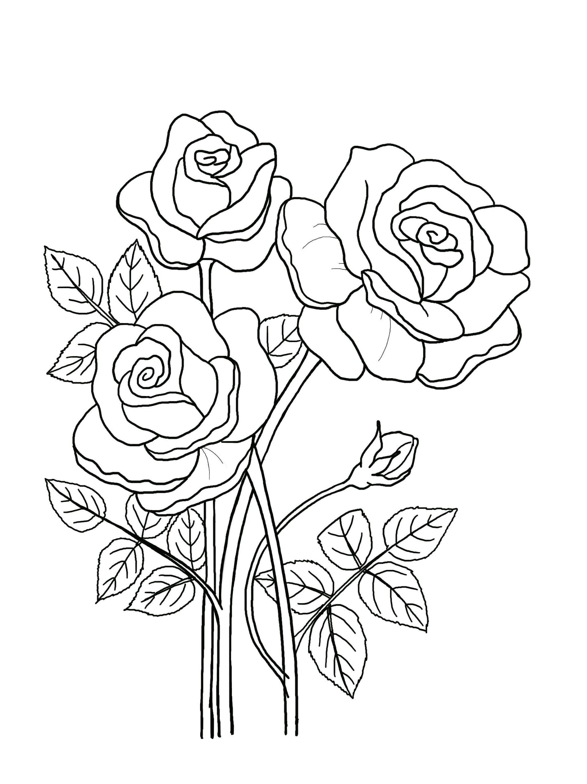 flower pictures for coloring printables