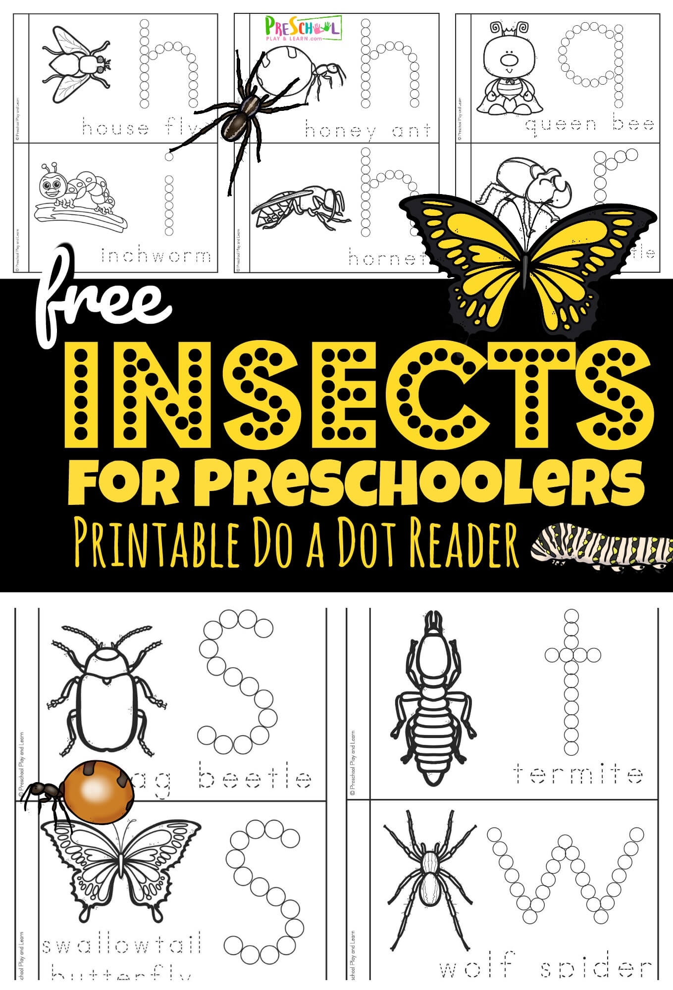 insect templates printable