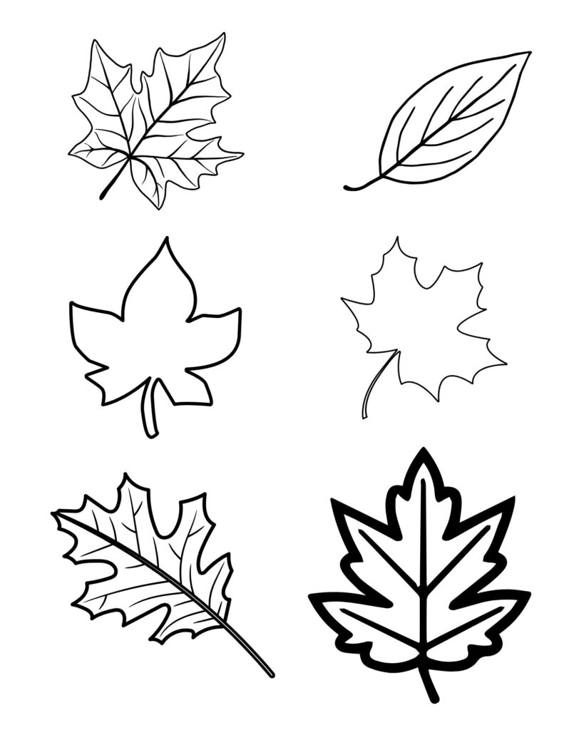 autumn leaves printable templates