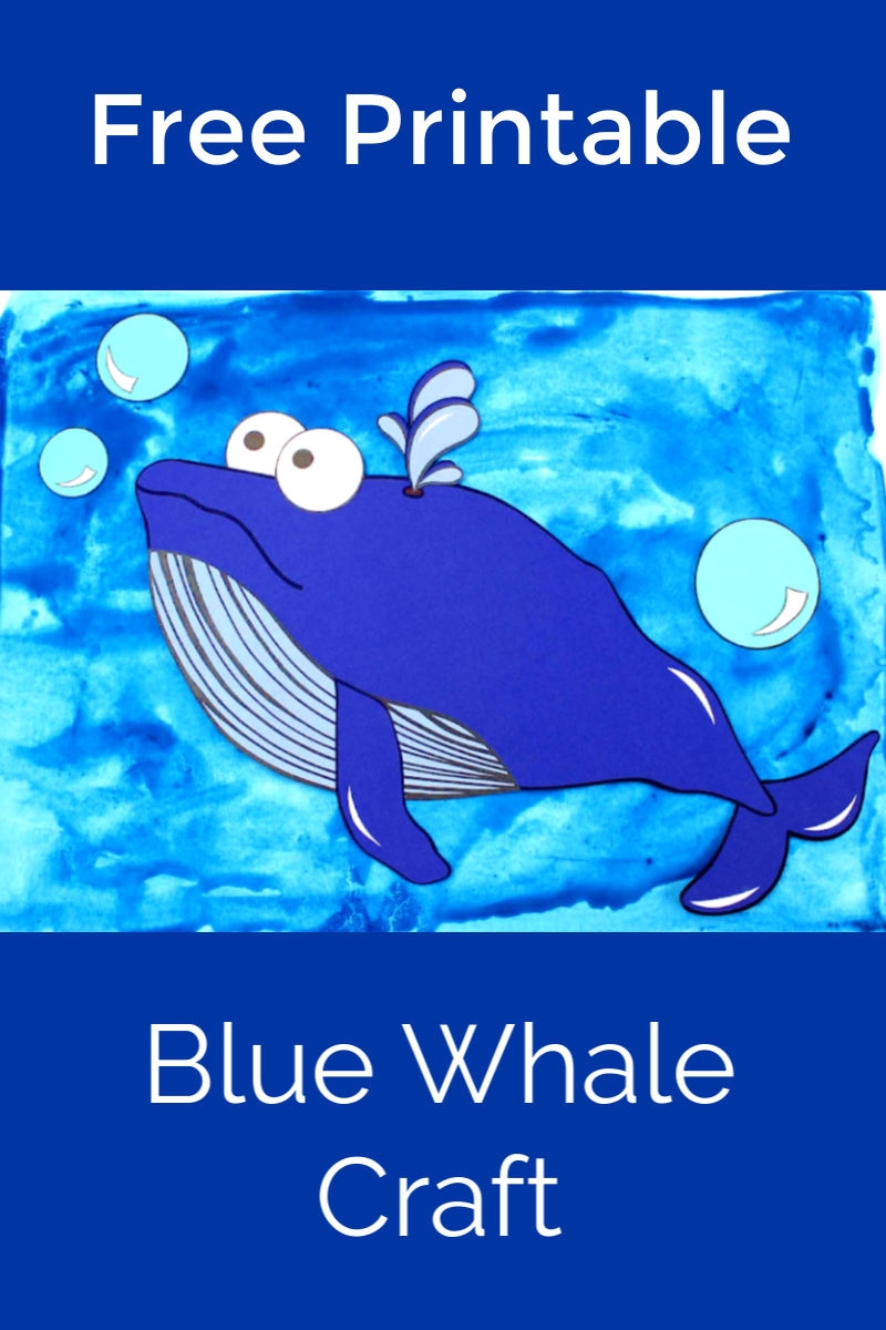 whale template printable