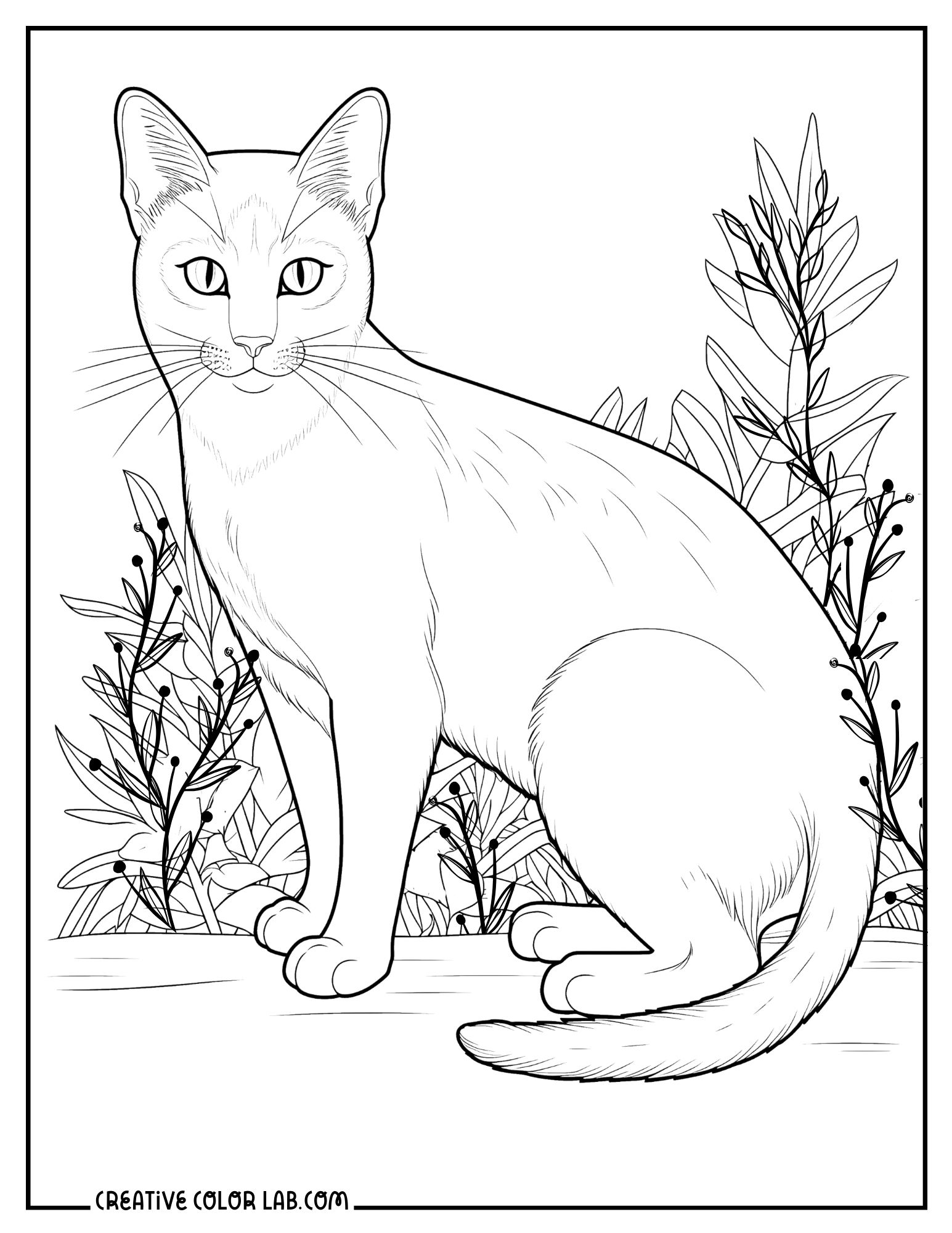 free cat coloring pages printable