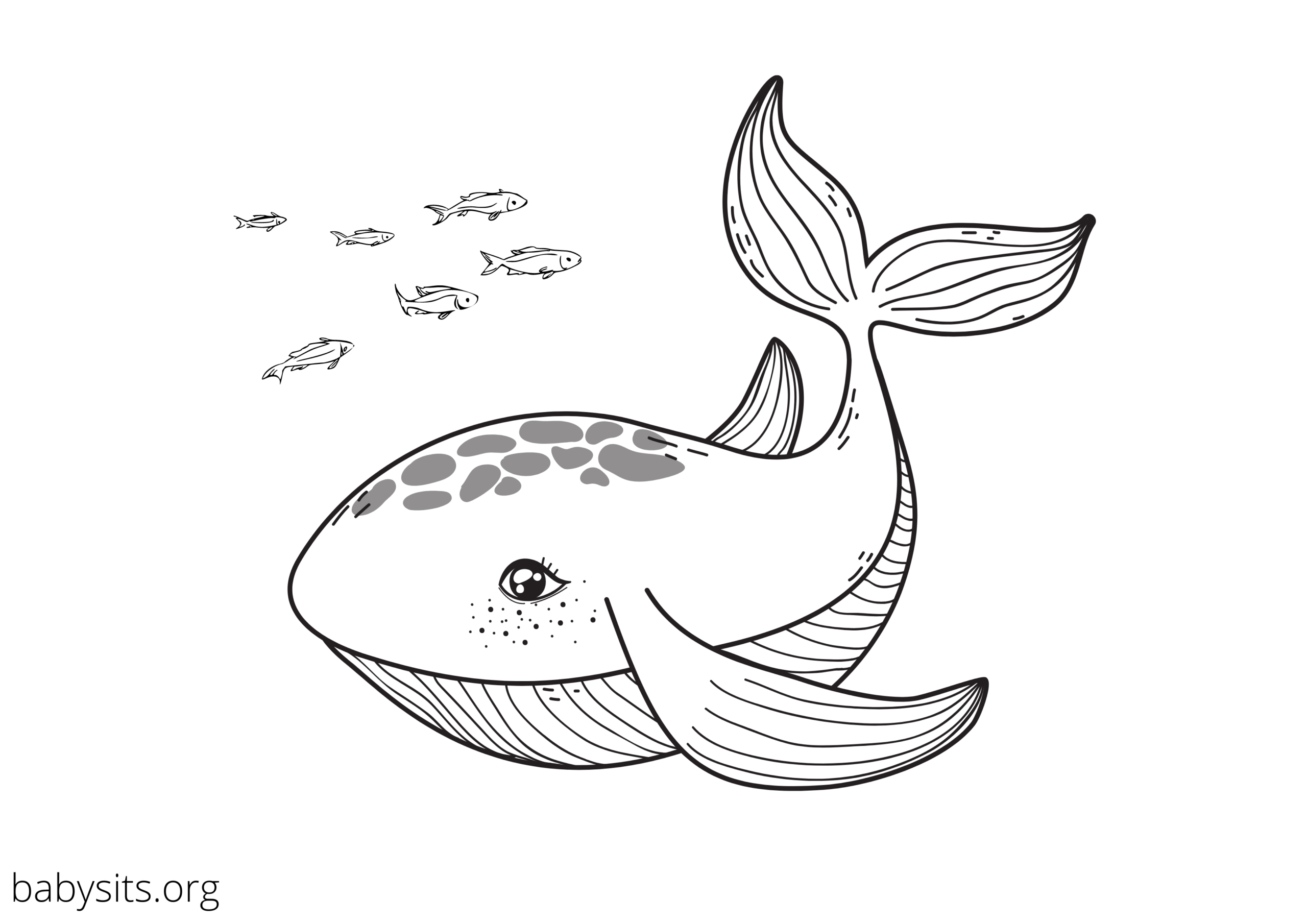 sea animal coloring pages