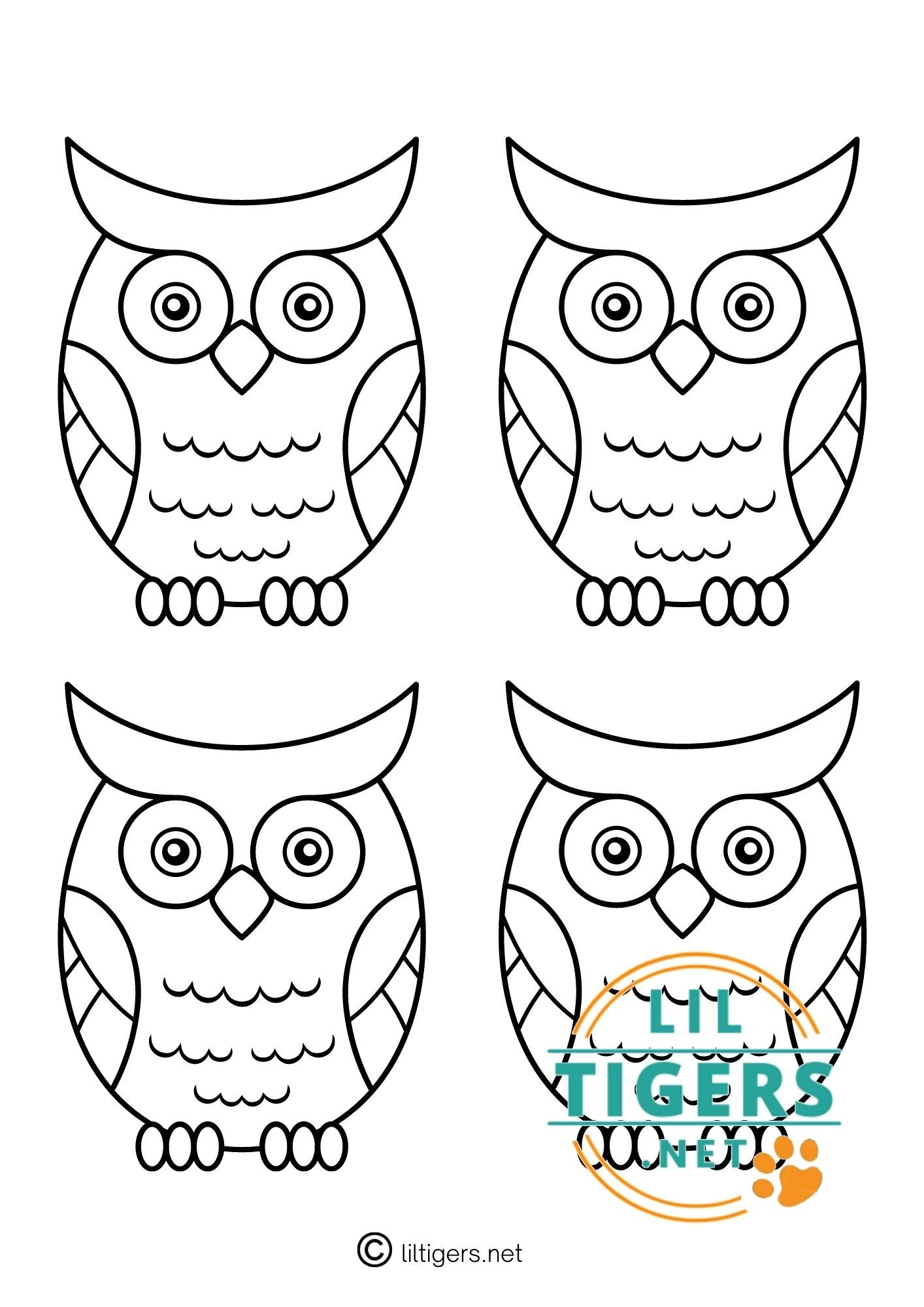 owl template printable