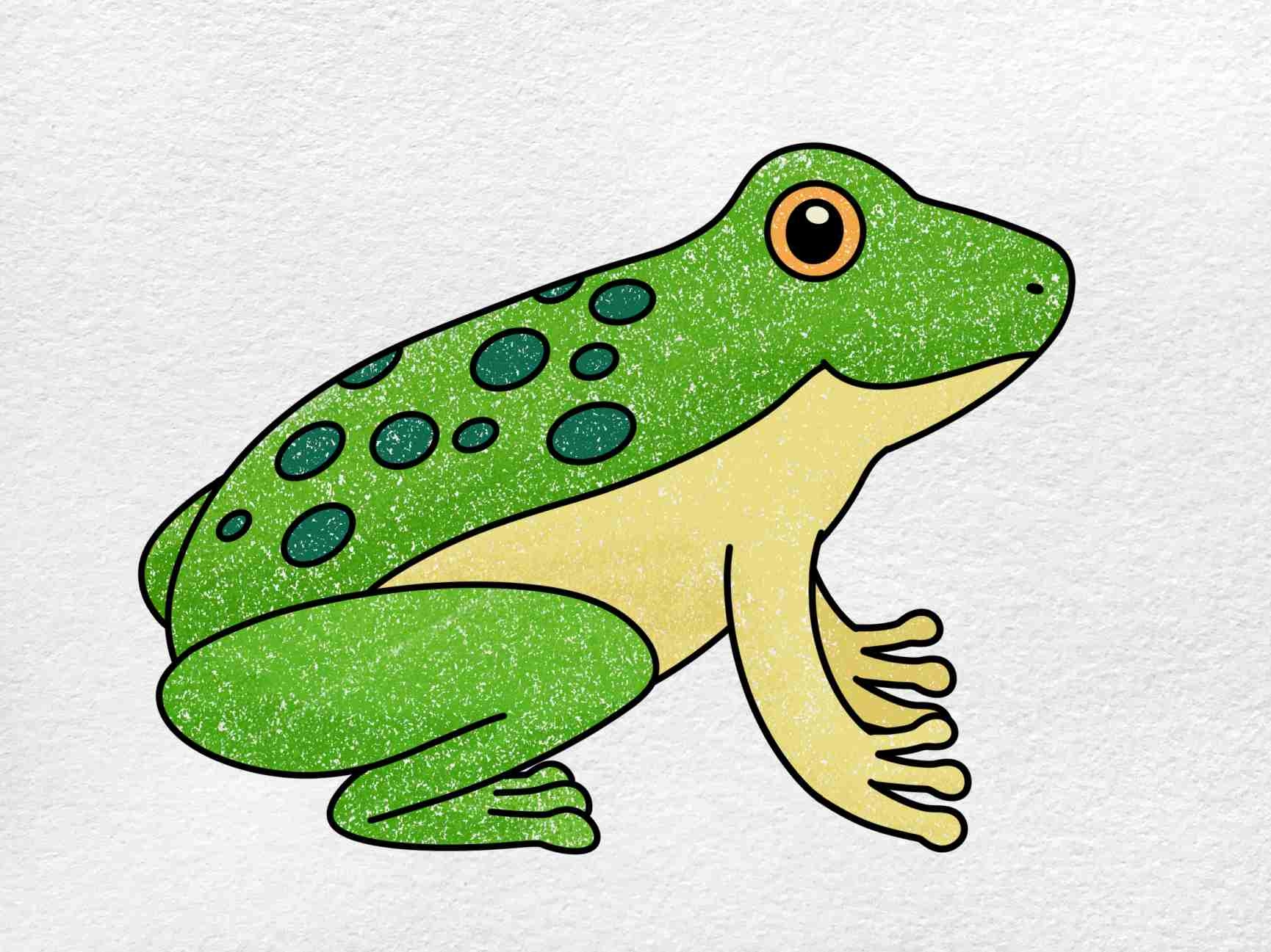 drawing a frog easy