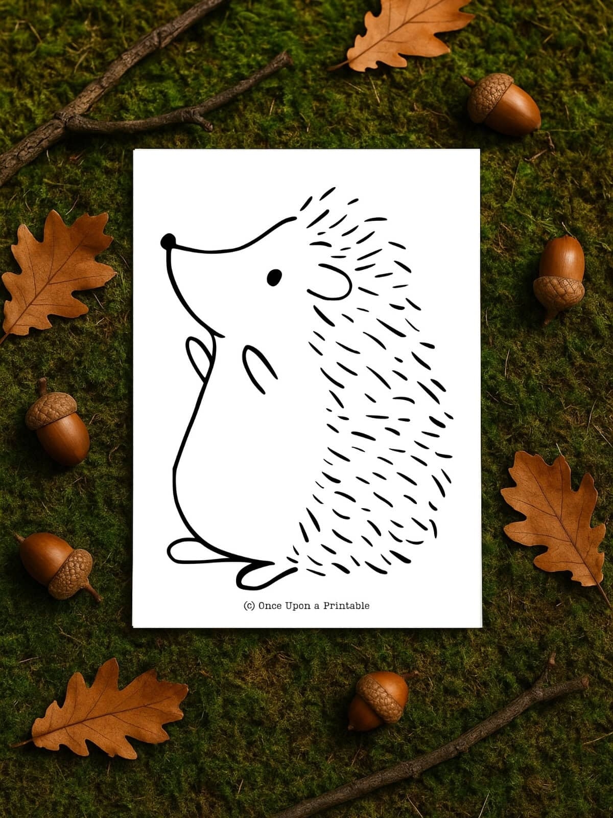 Hedgehog Templates Free Printables Once Upon A Printable