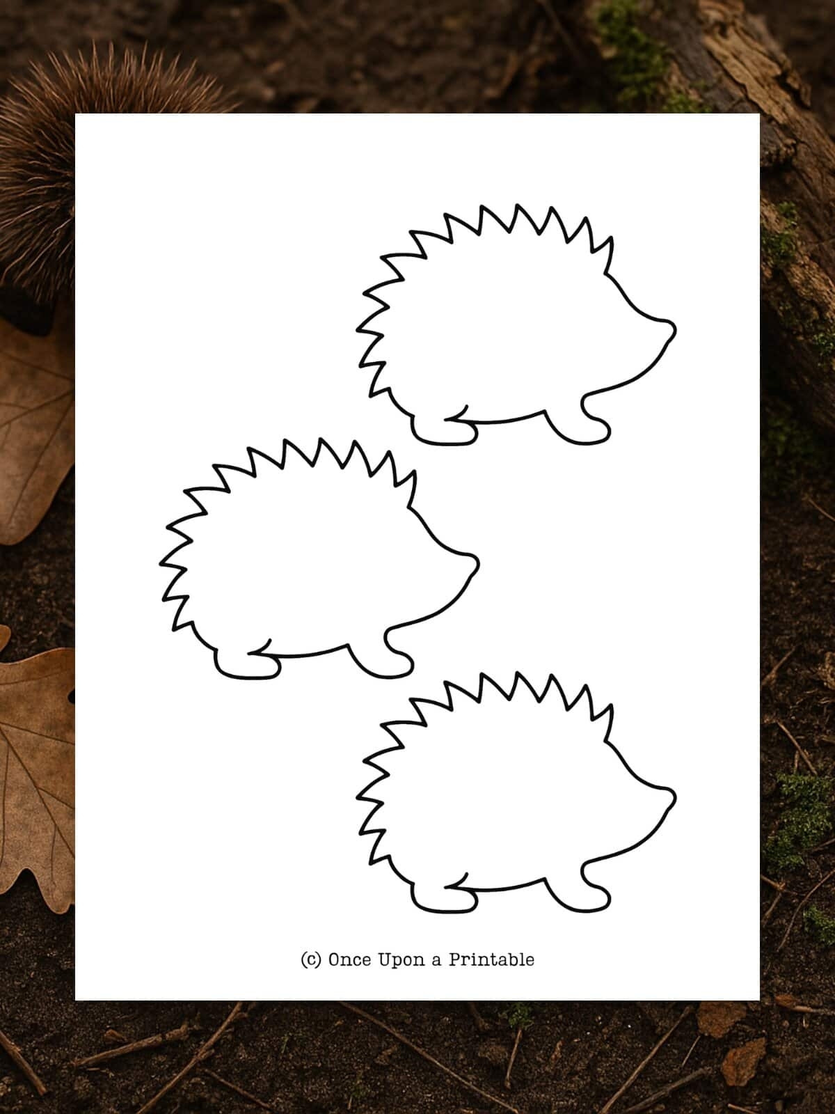 hedgehog printable template