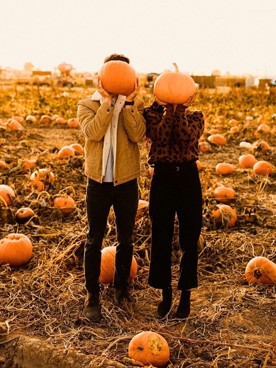 fall pictures with pumpkins