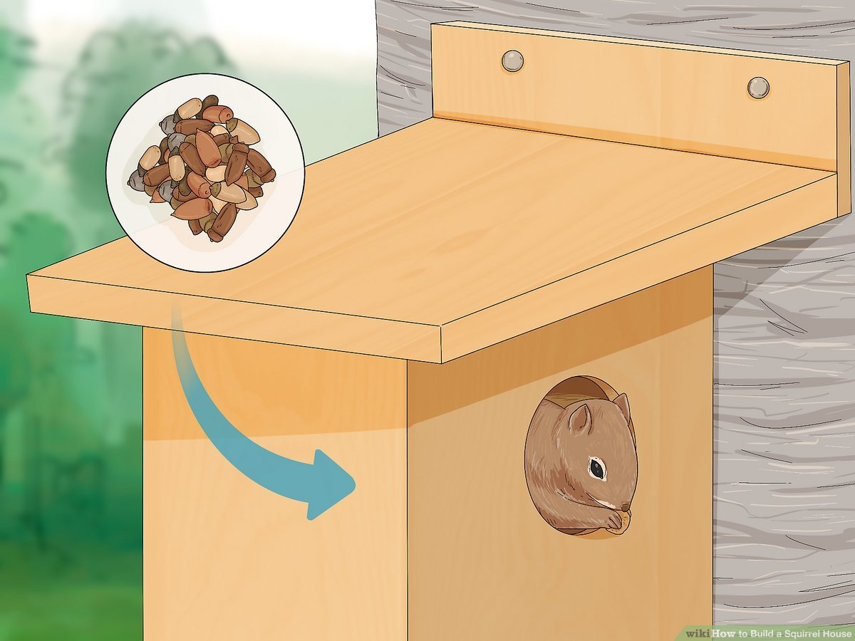 How To Build A Squirrel House 14 Steps with Pictures WikiHow