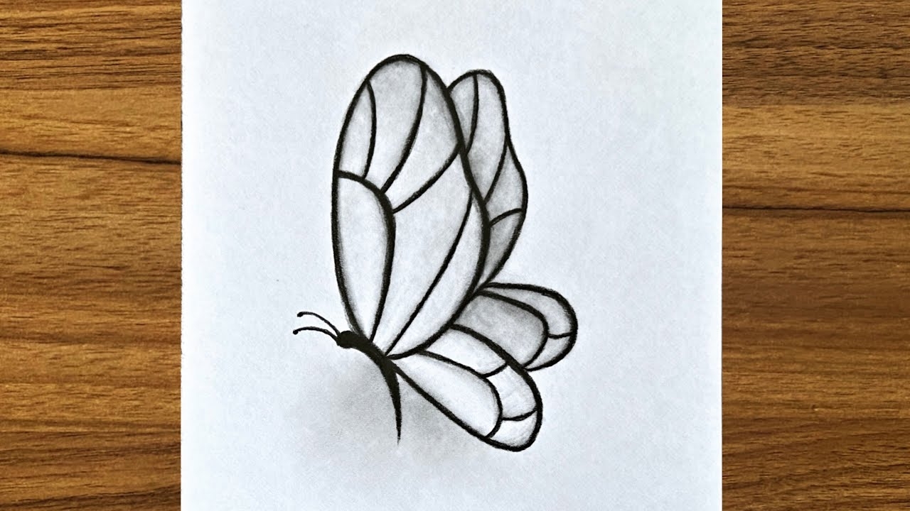 How To Draw A Cute Butterfly Easy Drawing Ideas For Beginners Easy Drawings Step By Step YouTube