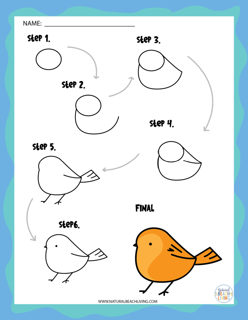 easy cute animal drawings
