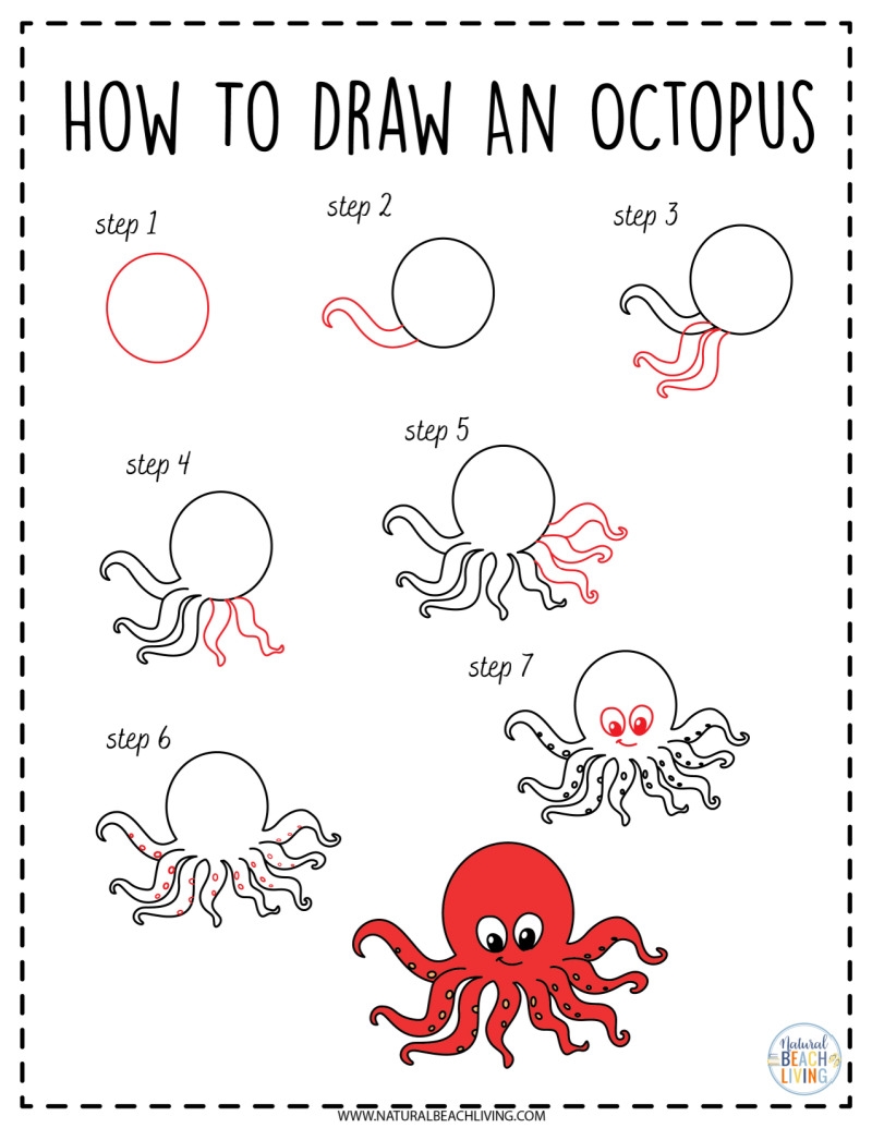 How To Draw Ocean Animals Natural Beach Living