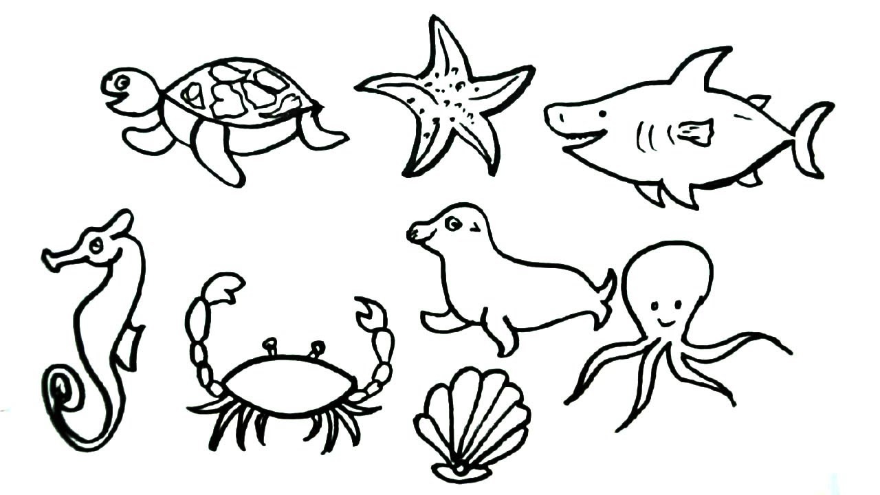 How To Draw Sea Animals Drawing Easy Step By Step Drawing Drawing Tutorial YouTube