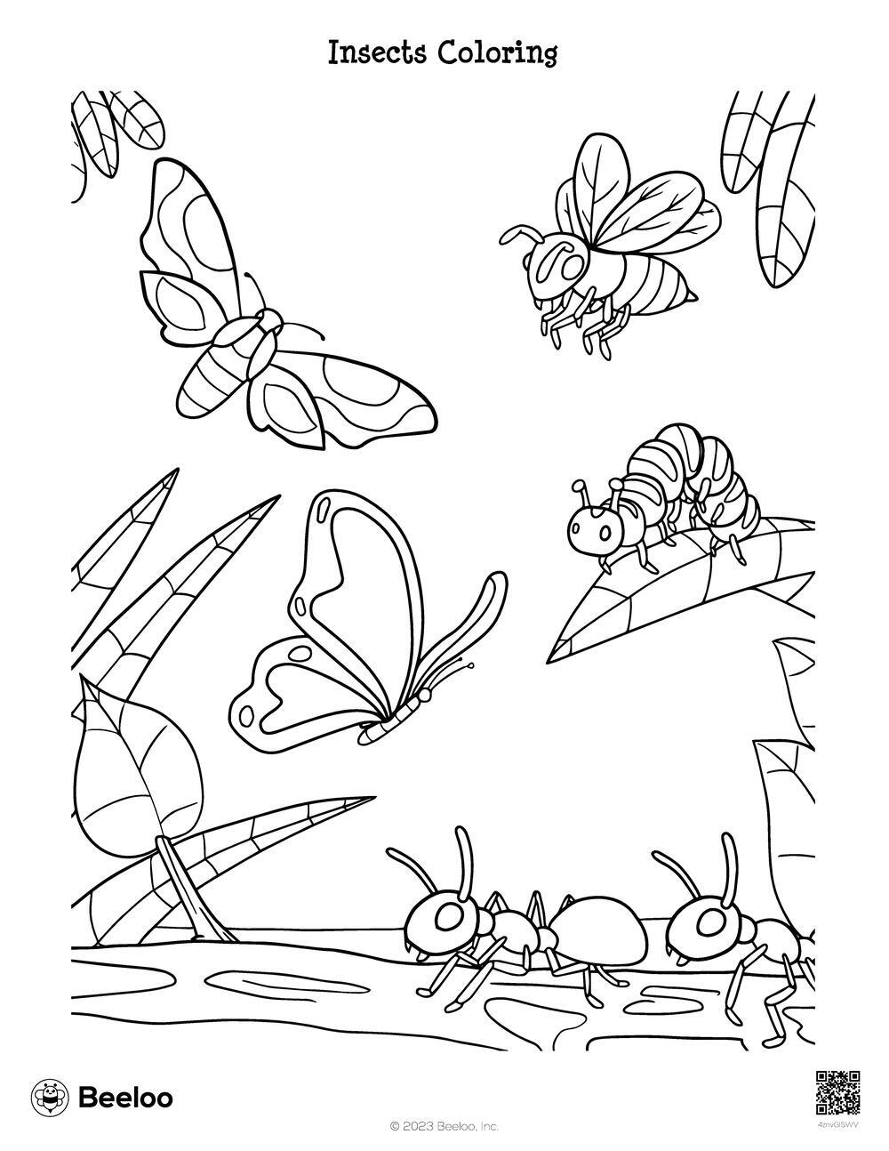 insect colouring in pages