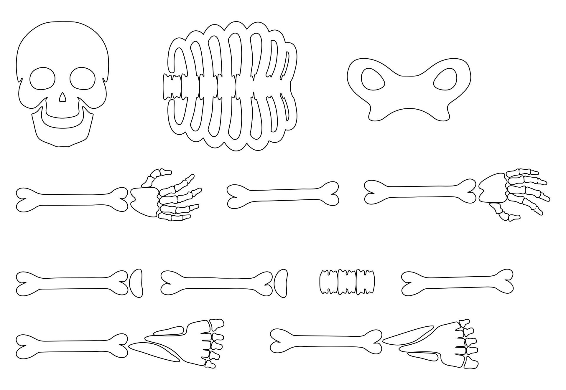 Large Skeleton Template 20 Free PDF Printables Printablee