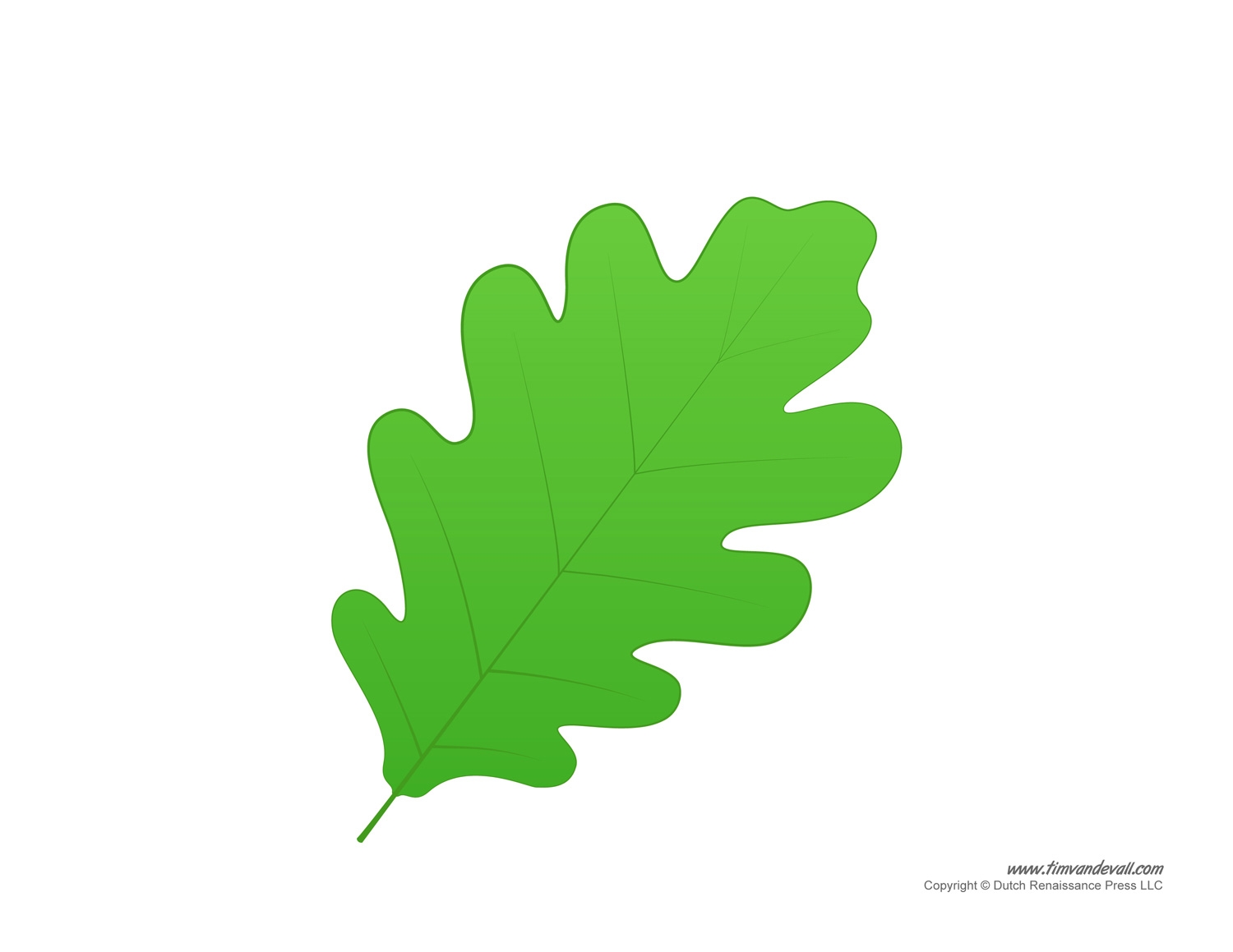colored leaf template printable