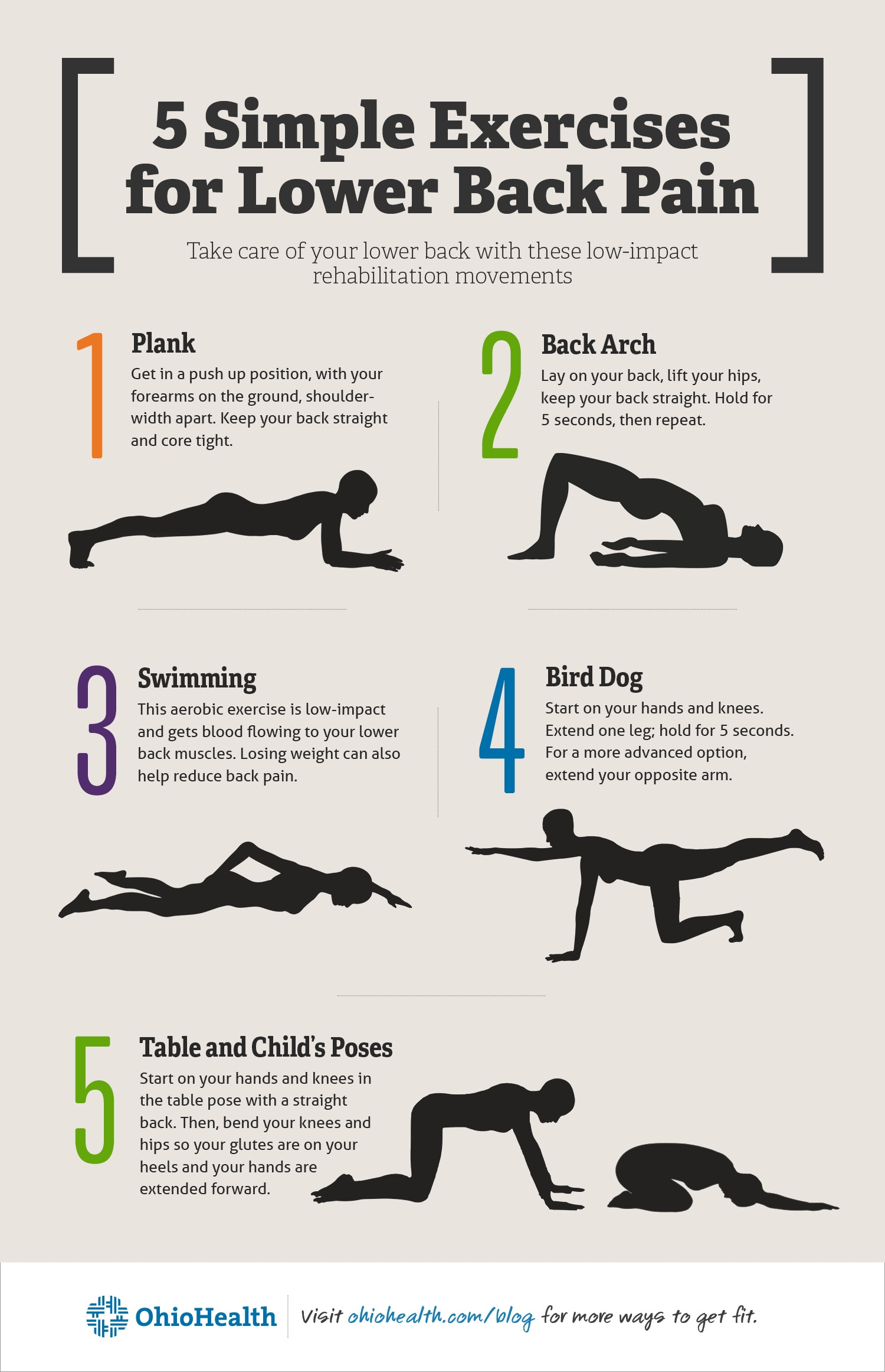 Lower Back Lower Body Stretches Pdf Printable Spine Exercises At Home Lower Back Strengthening