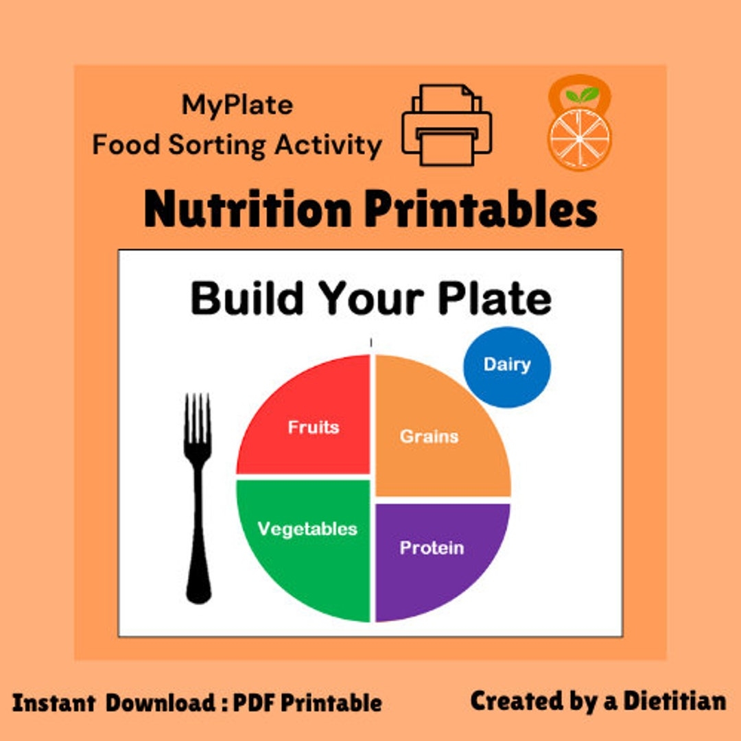 Myplate Food Group Sorting Nutrition Activity Printables PDF Etsy Hong Kong