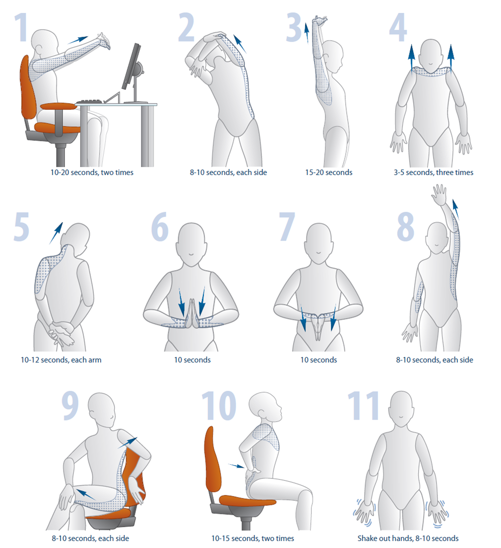 Office Stretches Safety Services