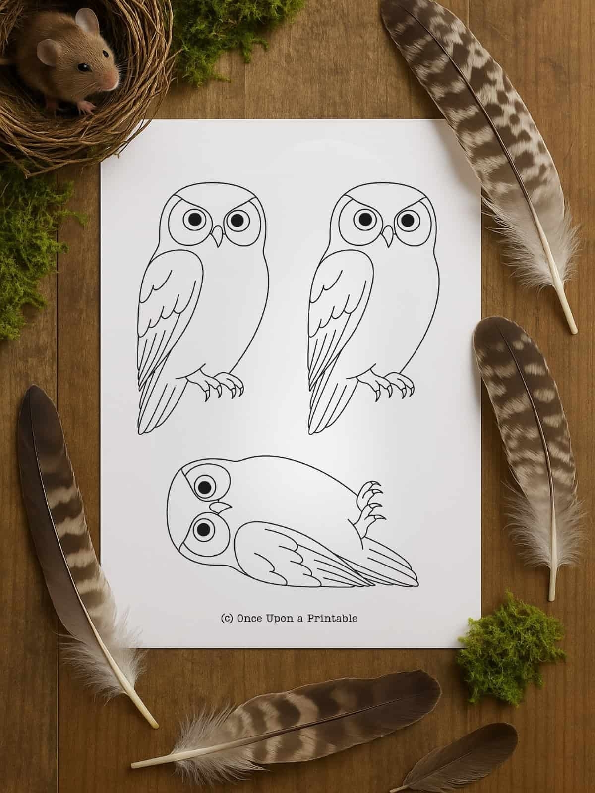 Owl Template Free Printable Once Upon A Printable