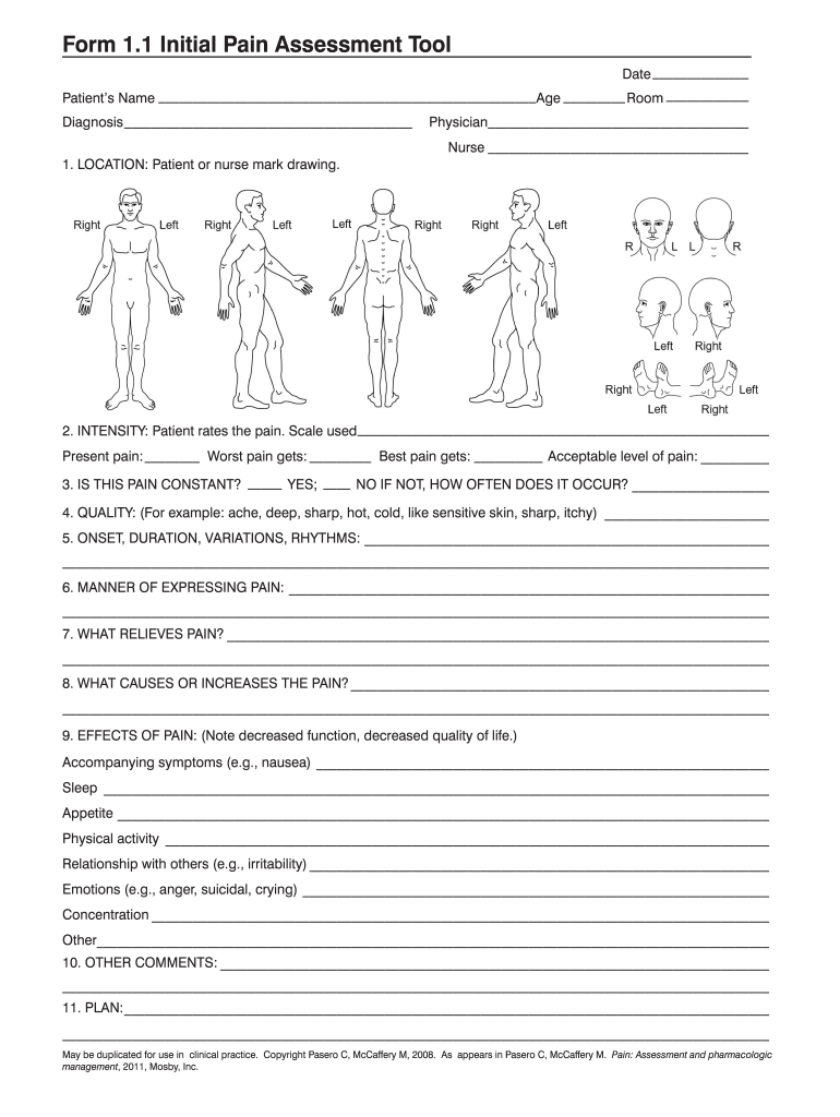 Pain Assessment Form Fill Online Printable Fillable Blank PdfFiller