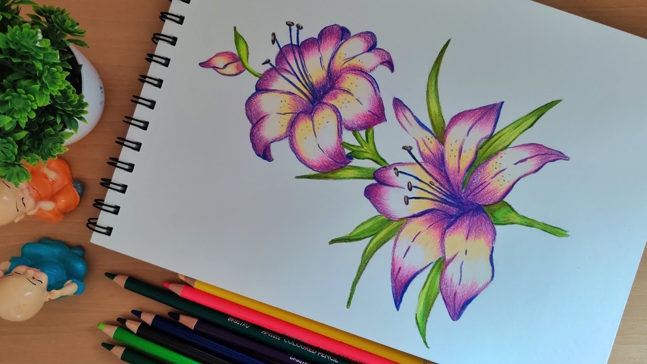 color drawings of flowers