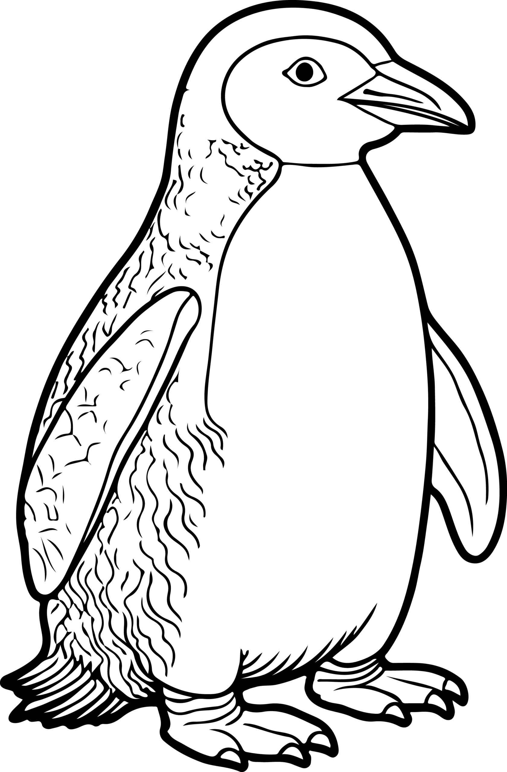 color pages of penguins